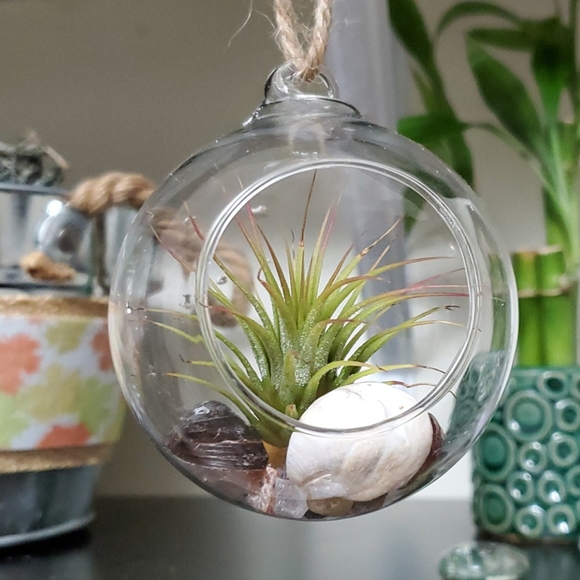 Other - 💖SALE💖 NWOT Hanging terrarium